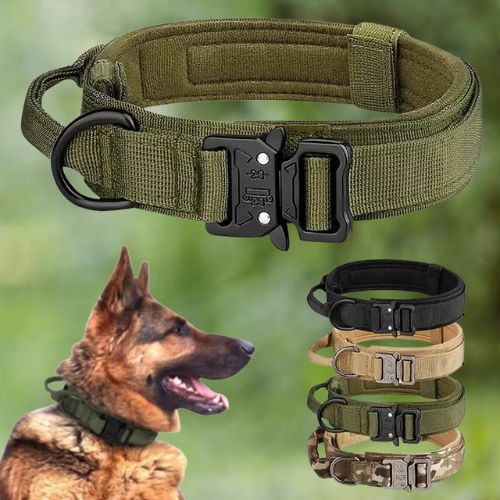 Berger Allemand portant un collier de dressage pour chien tactique vert olive. Quatre variantes de couleurs (noir, coyote, vert, camouflage) sont présentées.