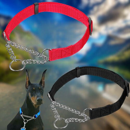 Collier de dressage pour chien rouge et noir avec chaîne de contrôle. Un Doberman Pinscher porte un collier similaire bleu.