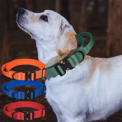 Un Labrador blanc portant un collier de dressage pour chien vert, d'autres colliers affichés pour présenter les options de couleur.