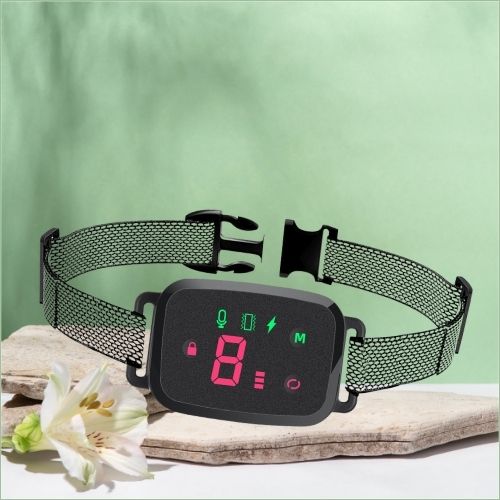 Collier dressage chien noir avec boucle en gros plan, affichant un grand 8 en rouge, posé sur une pierre décorative.