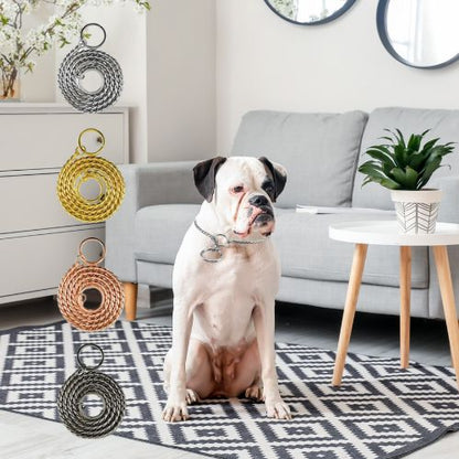 Boxer blanc et noir assis dans un salon moderne, entouré de quatre colliers etrangleurs chien enroulés (argent, or, rose, noir).