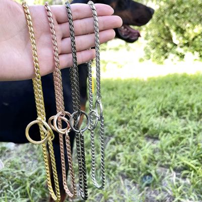 Main tenant une sélection de quatre colliers etrangleurs chien de différentes couleurs (doré, rose, noir, argent) devant un Doberman.