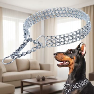 Collier etrangleur chien en triple maille de chrome présenté à côté de la tête d'un Dobermann. Gros plan du collier en intérieur.