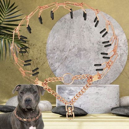 Collier etrangleur chien couleur or-rosé. Design élégant et robuste, montré sur un chien de race American Staff.