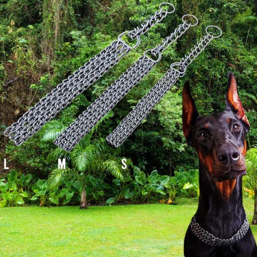 Trois tailles S, M, L du collier etrangleur chien en chaîne de métal, avec un Dobermann portant un collier similaire au premier plan.
