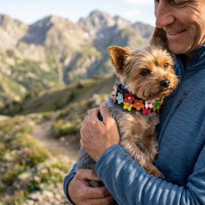 Yorkshire Terrier dans les bras d'un homme à la montagne avec son collier fantaisie chien.