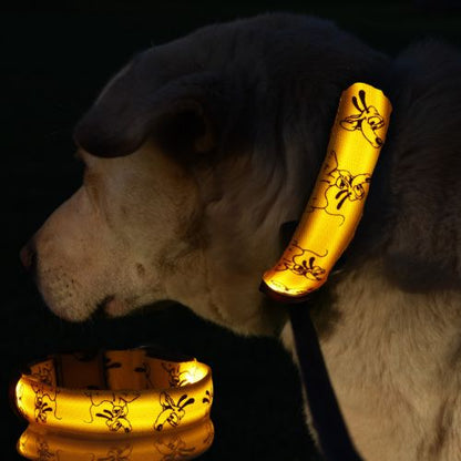Un labrador est bien visible dans l'obscurité grâce à son collier lumineux pour chien de couleur jaune.