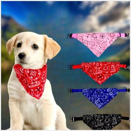 Petit labrador portant un collier pour chien avec bandana rouge en plein air, aussi disponible en rose, bleu et noir.