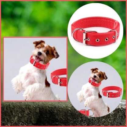 Collier pour chien rouge en nylon, parfait pour un Labrador au parc, en forêt, au camping ou à la maison.