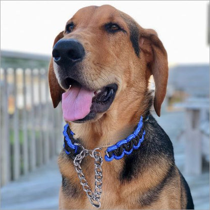Chien croisé, type berger noir et feu, souriant et portant un Collier pour chien de dressage bleu et noir sur une terrasse.