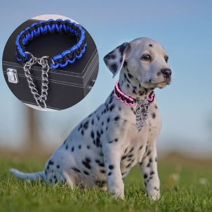 Adorable chiot Dalmatien dans l'herbe portant un Collier pour chien de dressage rose et noir. Collier bleu en médaillon.