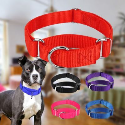 Image produit montrant un collier de dressage rouge, avec un Pitbull en bleu et d'autres couleurs. Collier pour chien de dressage disponible en plusieurs couleurs.