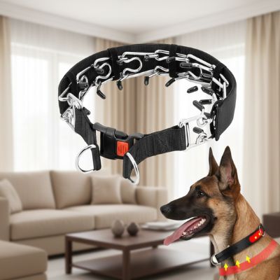 Collier pour chien de dressage | ComplicePro™