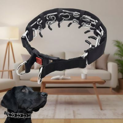 Collier pour chien de dressage | ComplicePro™