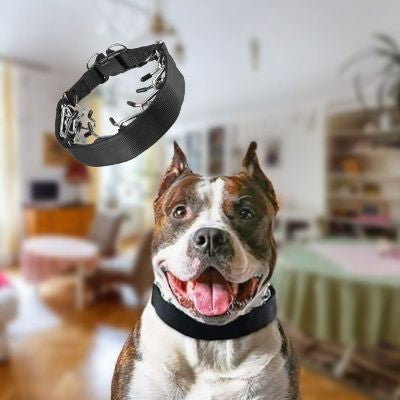 Collier pour chien de dressage | ComplicePro™