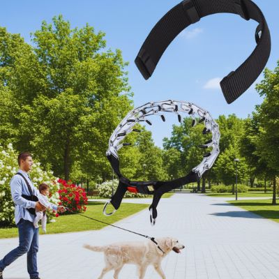 Collier pour chien de dressage | ComplicePro™