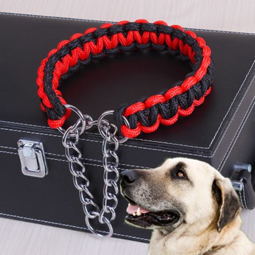 Gros plan sur un Collier pour chien de dressage en corde tressée rouge et noir avec chaîne, avec un grand chien de type Berger d'Anatolie.