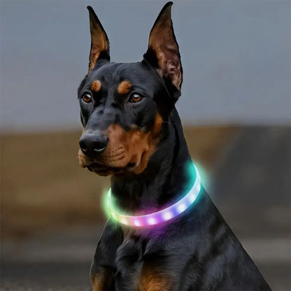 Doberman noir et feu portant un collier pour chien lumineux multicolore assurant une visibilité maximale pour la sécurité lors des promenades nocturnes.
