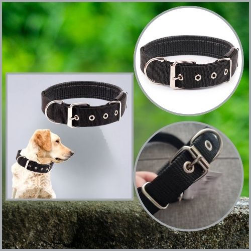 Collier pour chien Nylocol noir en nylon, parfait pour un Labrador au parc, en forêt, au camping ou à la maison.
