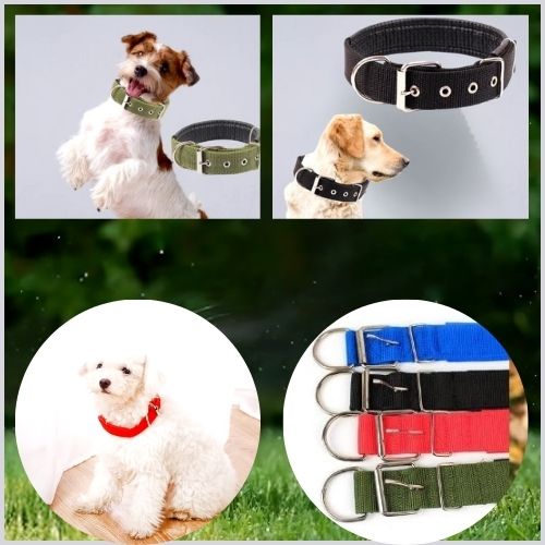 Collier pour chien en nylon Nylocol, adapté aux Jack Russell, Labradors et Caniches, disponible du S au XL et en plusieurs couleurs.