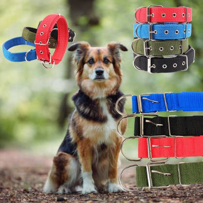 Collier pour chien en nylon pour Colley, idéal en randonnée ou en forêt, disponible en bleu, rouge, noir ou vert militaire