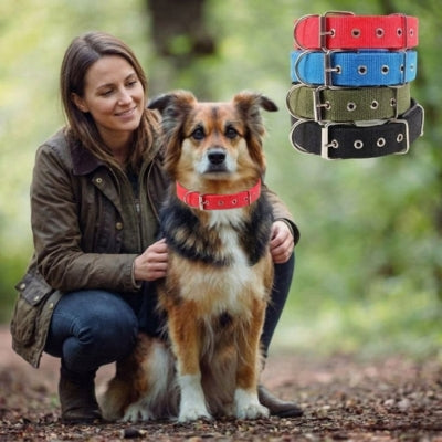 Femme accroupie caressant un chien portant un collier pour chien rouge en forêt.