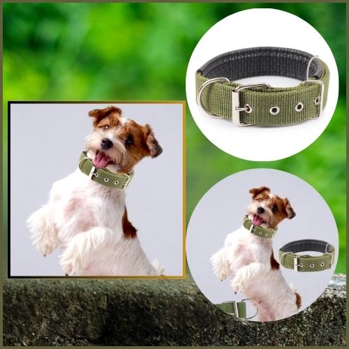 Collier pour chien Nylocol vert militaires en nylon, rembourré pour un confort optimal, idéal pour un Jack Russell.