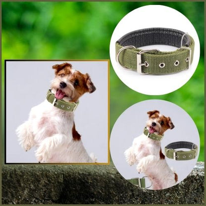 Collier pour chien Nylocol vert militaires en nylon, rembourré pour un confort optimal, idéal pour un Jack Russell.