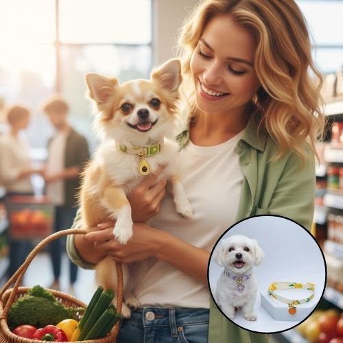 Collier pour chiot en coton réglable, motif avocat, porté par un Chihuahua. Une femme souriante le porte en faisant les courses. Très joyeuse