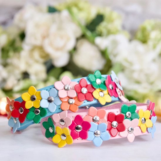 Deux colliers pour chiot en cuir (rose et turquoise) avec motif fleur amusant et coloré, posés sur un fond flou de fleurs naturelles. Accessoire de qualité.