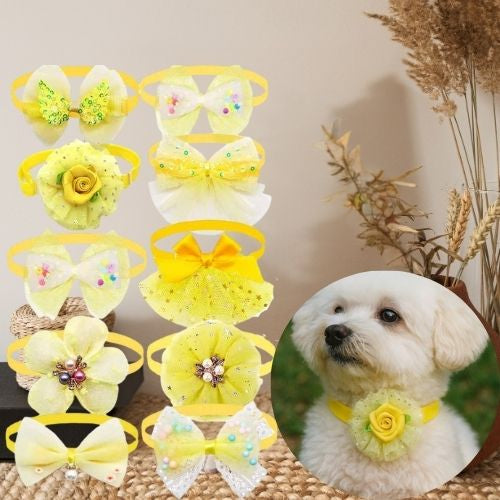 Collier pour chiot jaune : 10 nœuds papillon, fleurs et collerettes en tissu et sequins. Un bichon maltais porte un collier jaune à motif de rose.
