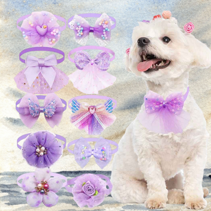 Collier pour chiot lavande : 10 nœuds papillon et collerettes en tulle avec paillettes. Un bichon maltais porte un collier lavande à nœud.
