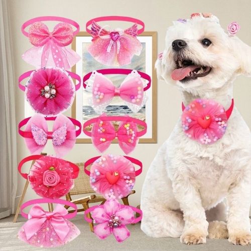 Collier pour chiot rose vif : 10 nœuds papillon fantaisie et collerettes à cœurs et perles. Un bichon maltais porte une collerette rose à fleurs au salon.