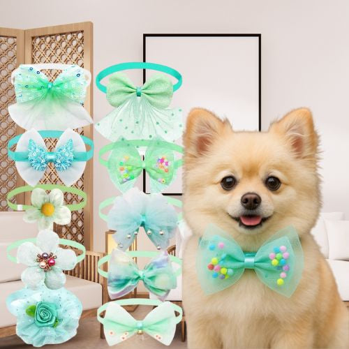Collier pour chiot turquoise : 10 nœuds papillon et collerettes amusants en tissu et perles. Un adorable Poméranien porte un nœud en tulle vert.