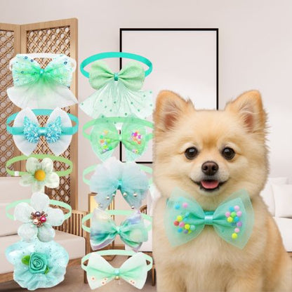 Collier pour chiot turquoise : 10 nœuds papillon et collerettes amusants en tissu et perles. Un adorable Poméranien porte un nœud en tulle vert.