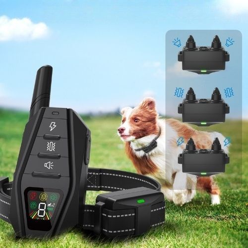 Collier pour dressage de chien : Chien de type Border Collie en pleine course. Affiche les trois modes de fonctionnement : Bip, Vibration et Choc statique.