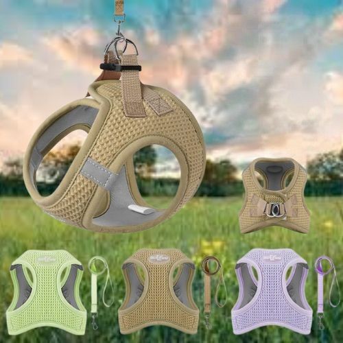 Présentation des coloris beige, vert et violet du harnais anti traction chien sur fond de nature.