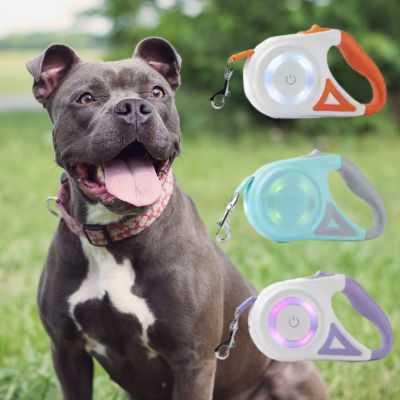 Trois coloris de laisse chien rétractable (orange, bleu, violet) avec un chien Pitbull.