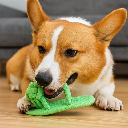 Chien Corgi allongé mordillant un jouet pour chiens en corde tressée verte.
