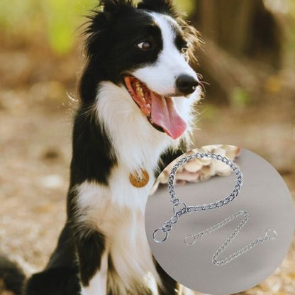 Collier de dressage pour chien-DogControl™ : Ce collier chien étrangleur de couleur argentée ne s’agrippe pas aux pelages des chiens poilus comme ce Colley