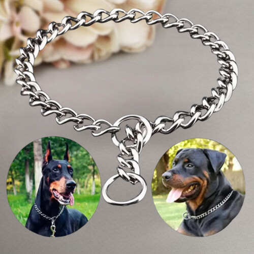 Collier chien-DogControl™ : Ce collier chien d’étranglement de couleur argentée est l’accessoire idéal pour vuos propriétaires de chien puissant, tels que les Rottweiler et les Dobermann