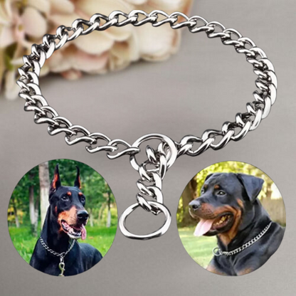 Collier de dressage pour chien-DogControl™ : Ce collier chien d’étranglement de couleur argentée est l’accessoire idéal pour vuos propriétaires de chien puissant, tels que les Rottweiler et les Dobermann