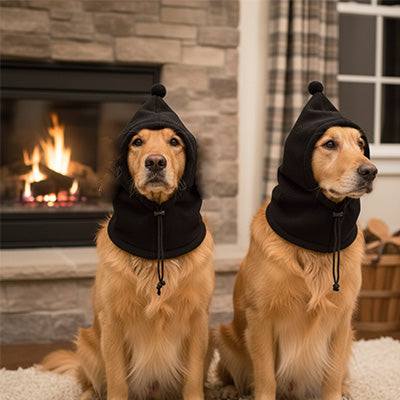 Deux Golden Retrievers portant chacun un bonnet chien noir devant une cheminée allumée.