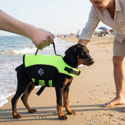 Jeune Doberman sur le sable portant un gilet de sauvetage pour chien jaune fluo tenu par la poignée.