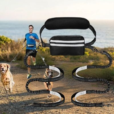 Double laisse main libre pour chien avec ceinture élastique pour le sport.