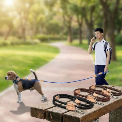 Homme au téléphone avec son Beagle et modèles de double laisse pour chien posés sur un banc.