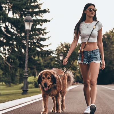 Femme marchant en ville avec un Mastiff attaché par une double laisse pour chien noire croisée.