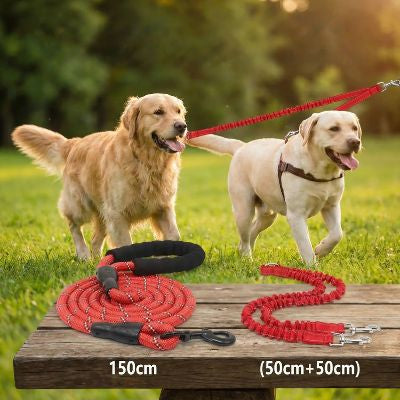 Double laisse pour chien rouge : corde 150cm et extension (50cm+50cm) avec Golden et Labrador.