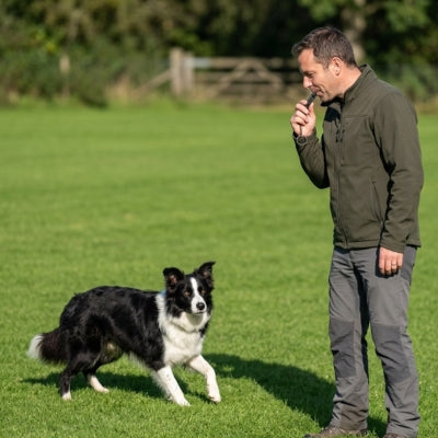Homme debout dans un champ éduquant un Border Collie avec un sifflet pour chien ultrason.