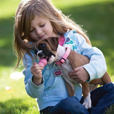 Fillette assise dans l'herbe donnant un petit jouet Kong chien rose à un chiot Boxer.